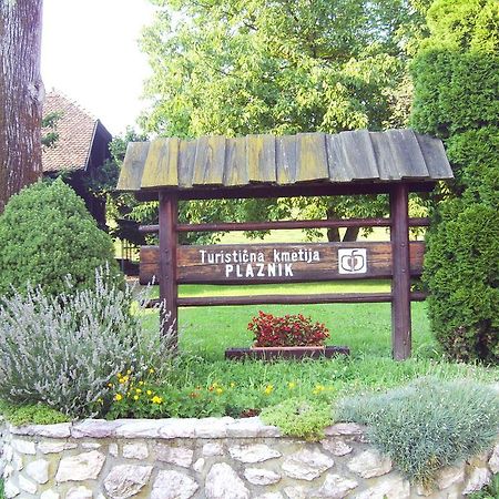 Guest House Turisticna Kmetija Plaznik Ljubno Екстер'єр фото