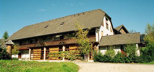 Guest House Turisticna Kmetija Plaznik Ljubno Екстер'єр фото