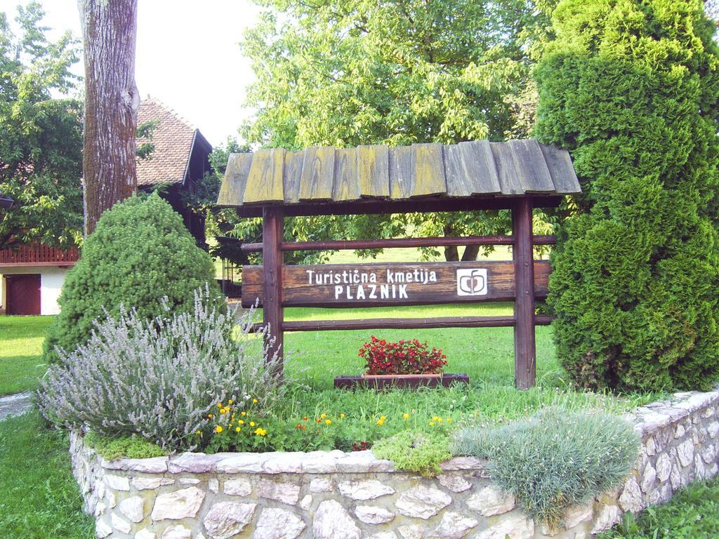 Guest House Turisticna Kmetija Plaznik Ljubno Екстер'єр фото