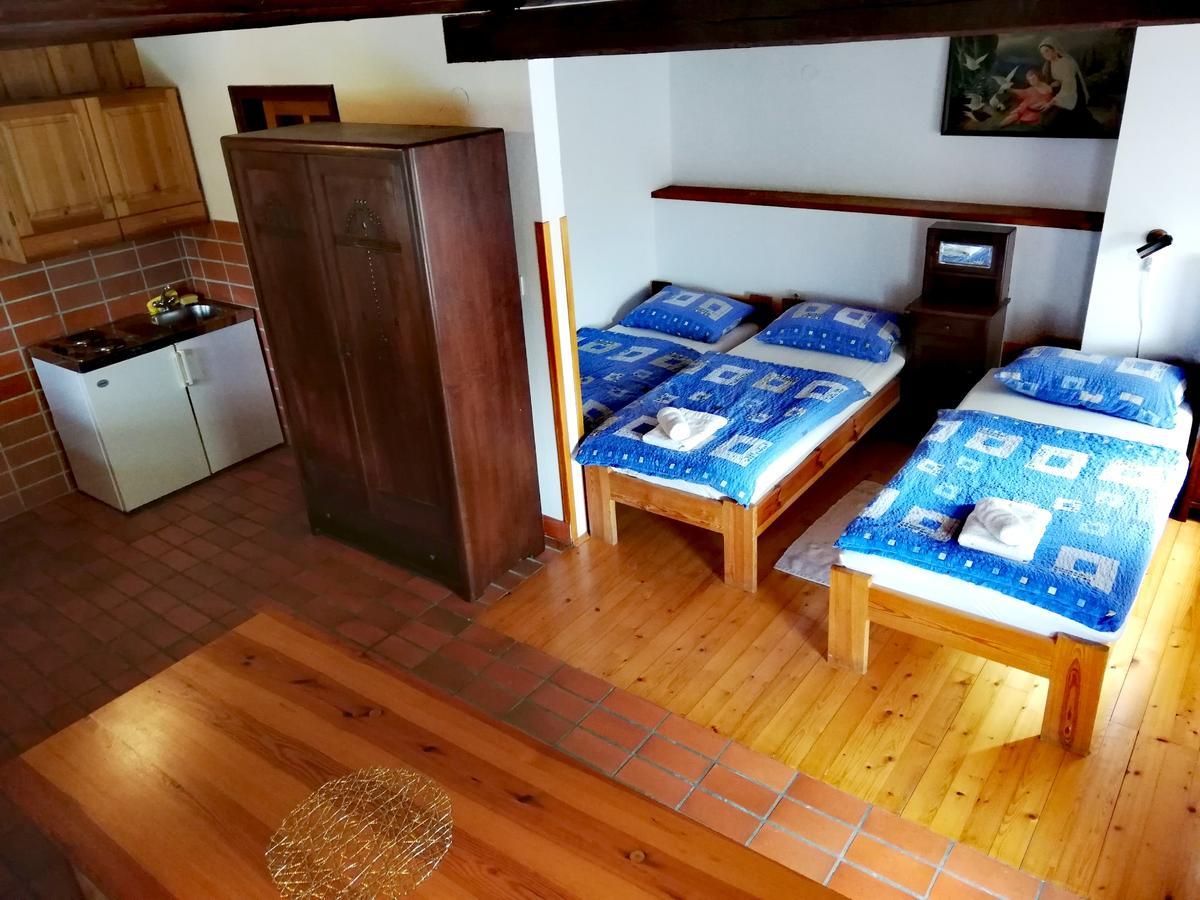 Guest House Turisticna Kmetija Plaznik Ljubno Екстер'єр фото