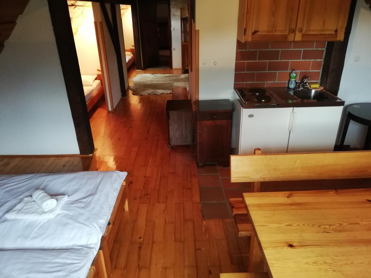 Guest House Turisticna Kmetija Plaznik Ljubno Екстер'єр фото