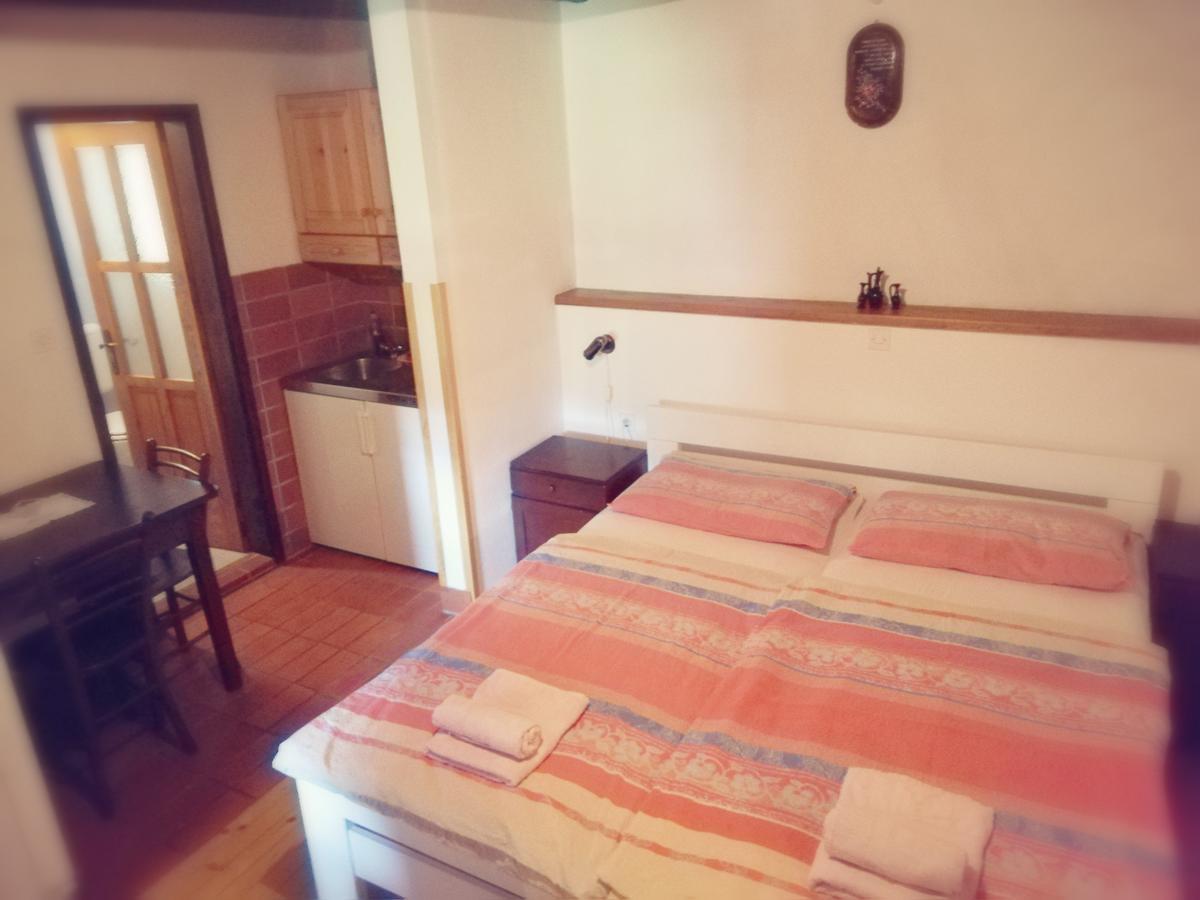 Guest House Turisticna Kmetija Plaznik Ljubno Екстер'єр фото
