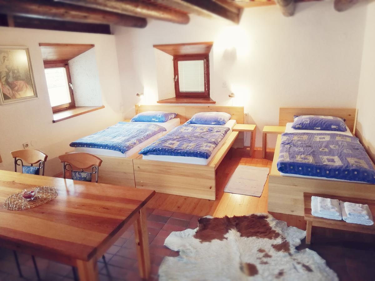 Guest House Turisticna Kmetija Plaznik Ljubno Екстер'єр фото