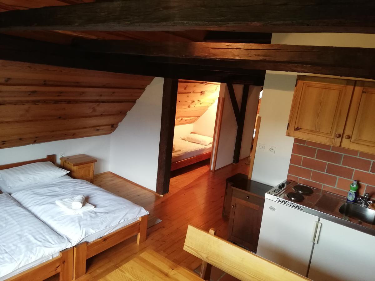 Guest House Turisticna Kmetija Plaznik Ljubno Екстер'єр фото