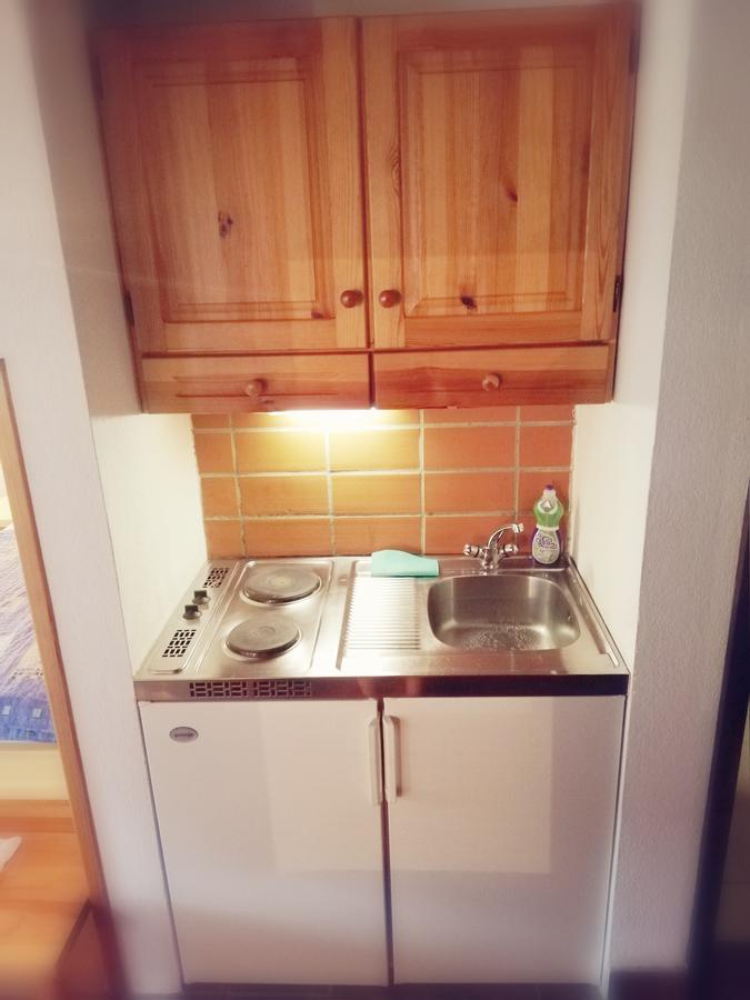 Guest House Turisticna Kmetija Plaznik Ljubno Екстер'єр фото